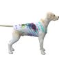 Preview: Hunde Sweater "Chiquito"